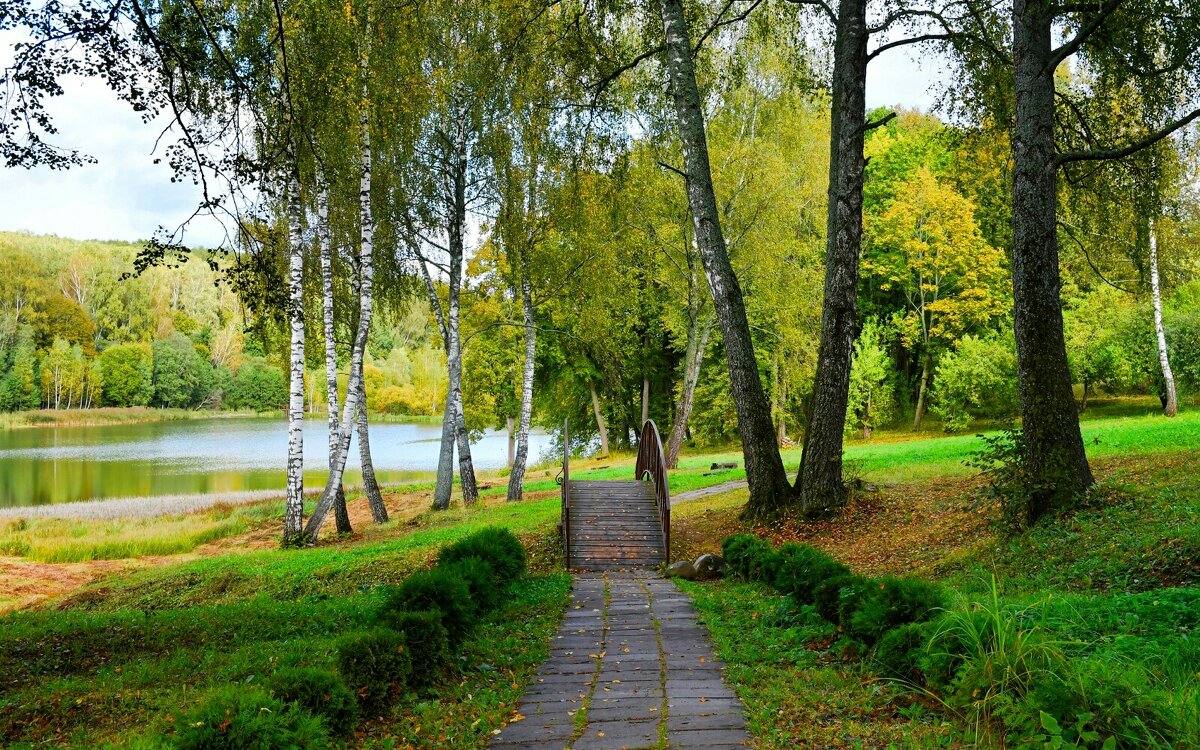 Осень в сентябре (репортаж из поездок по области). - Милешкин Владимир Алексеевич 