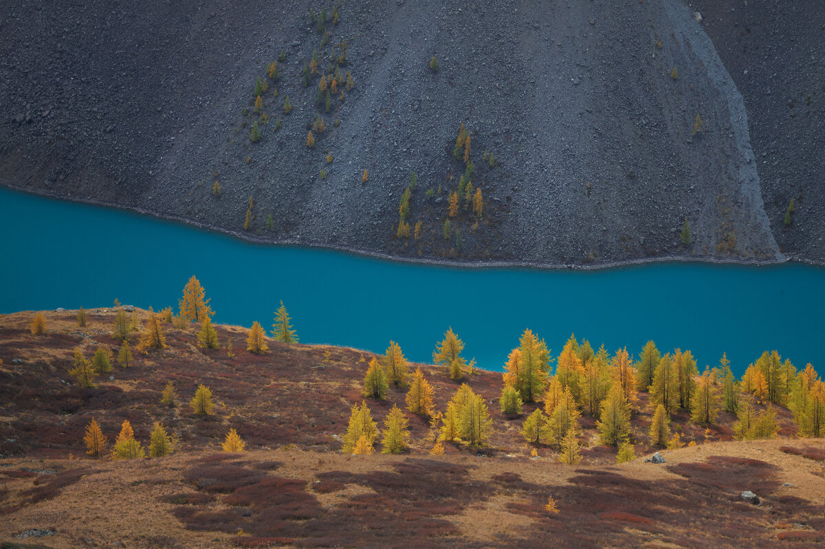 * - Александр Иванов