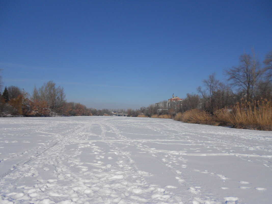 февральская зарисова - Елена Шаламова