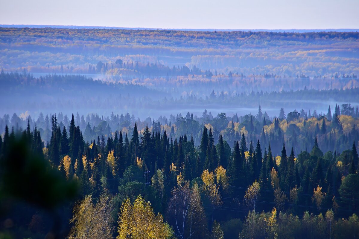 - - Владимир Мигонькин