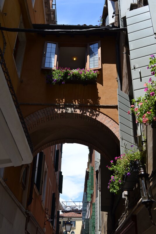 Мостики Венеции - Ольга 