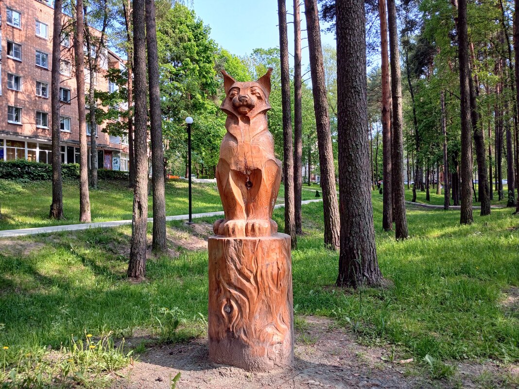 Рысь - как один из символов Соснового Бора. - Лия ☼