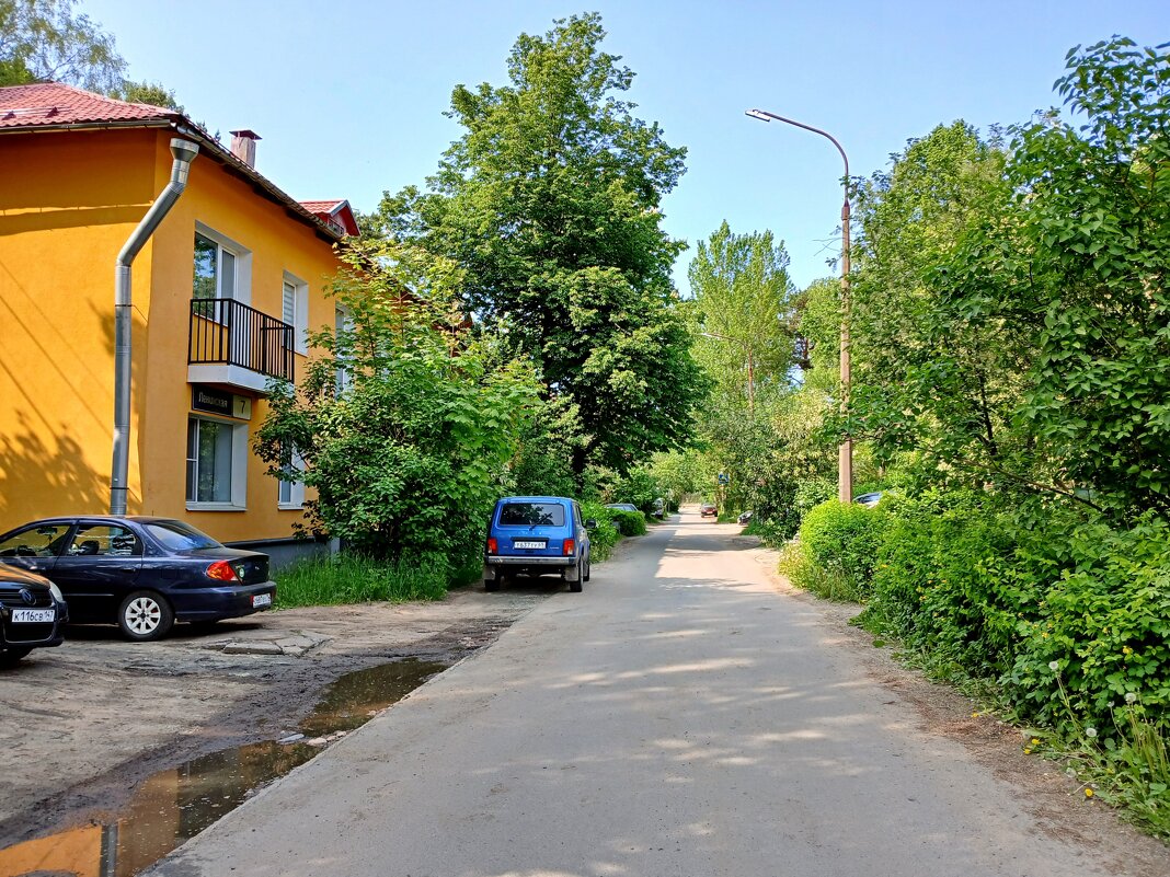 Улочки Соснового Бора - Ленинская. - Лия ☼