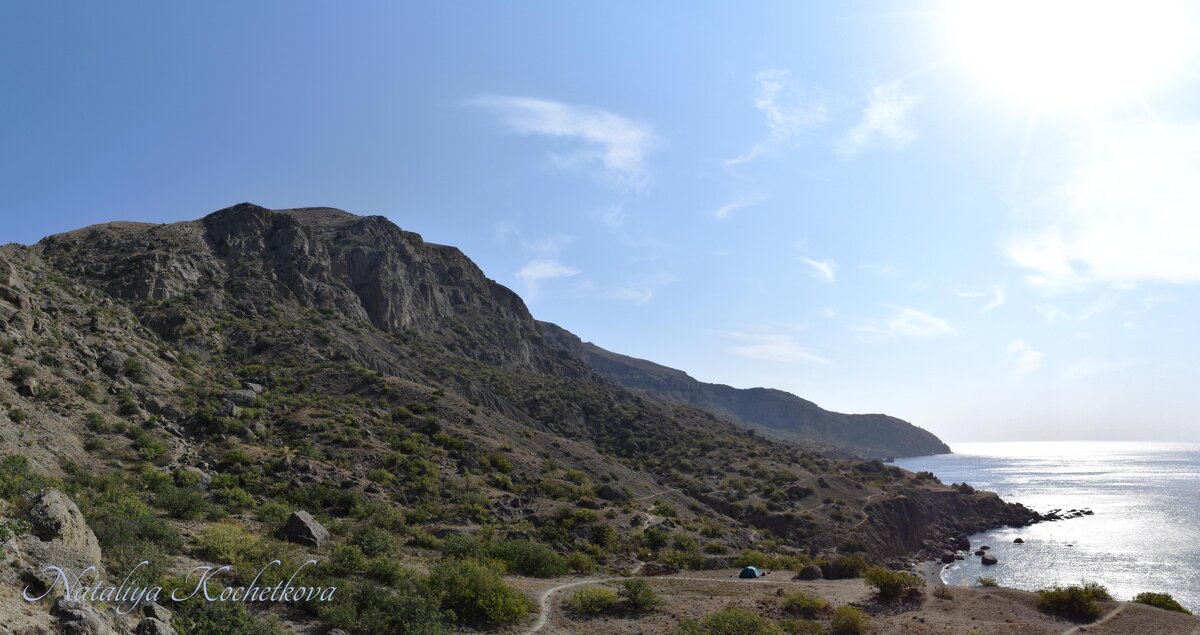 Природа Крыма - Amazing Cosmea