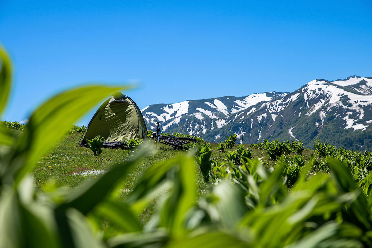 Гомис Мта - высокогорная деревня в Грузии. - Дина Евсеева