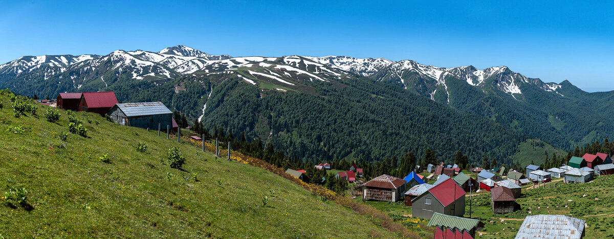 Гомис Мта . Гурия. Грузия - Дина Евсеева Гомис Мта . Гурия. Грузия - Дина Евсеева