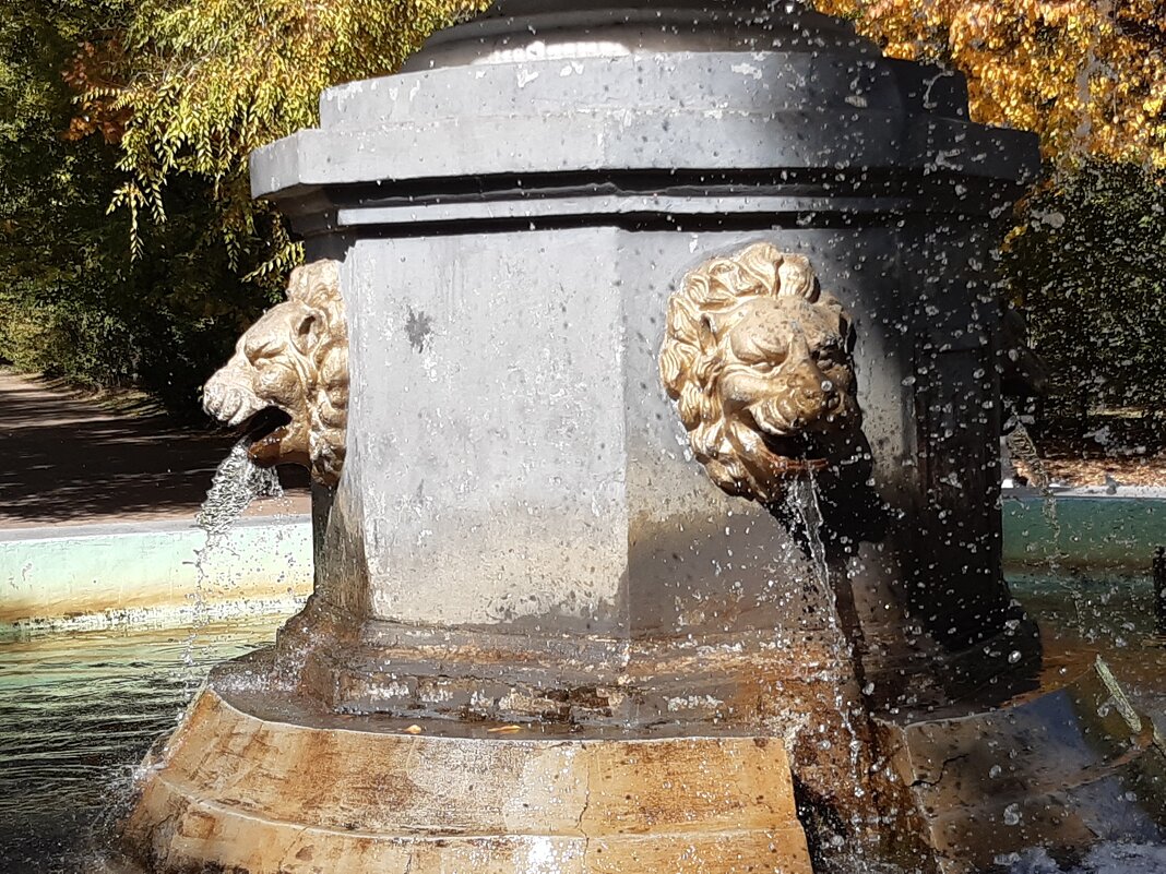 Осень в городе - Галина Минчук