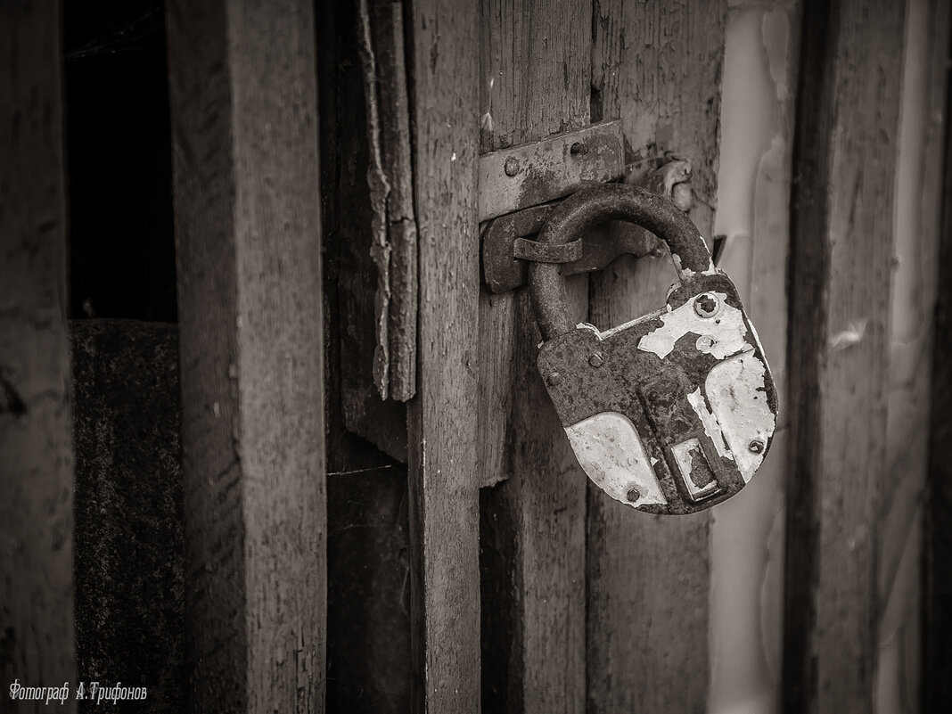 Из серии "Все ушли" - Алексей Трифонов Из серии "Все ушли" - Алексей Трифонов