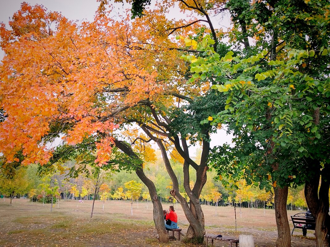Осень в сентябре - Надежда 