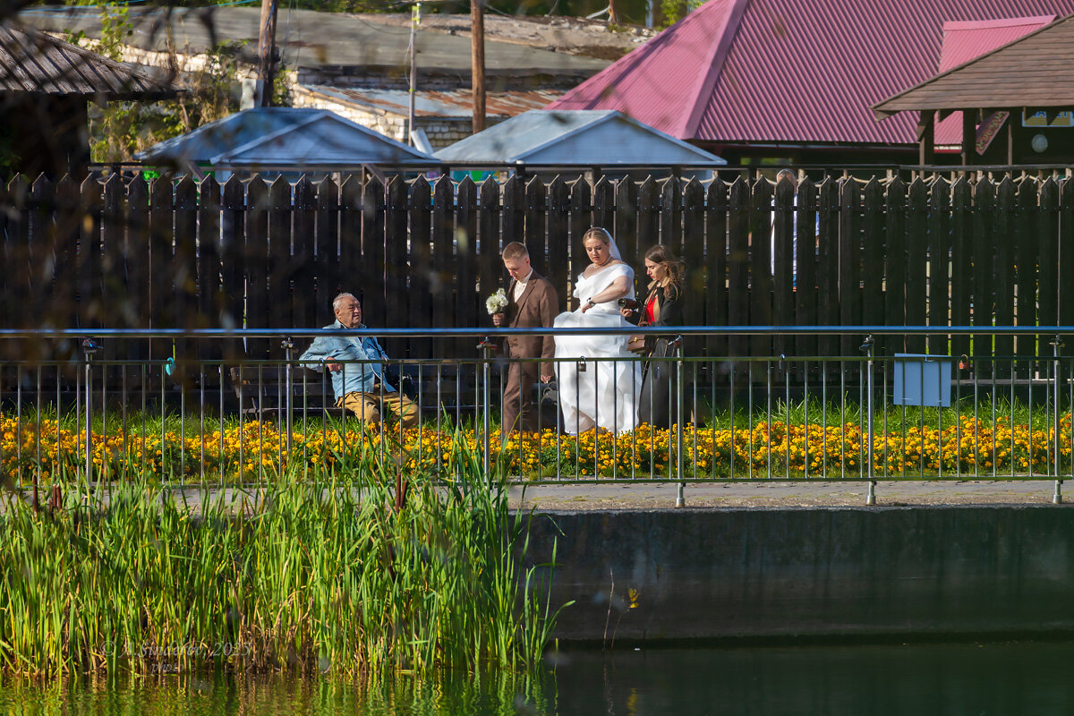 Свадебное - Александр Синдерёв