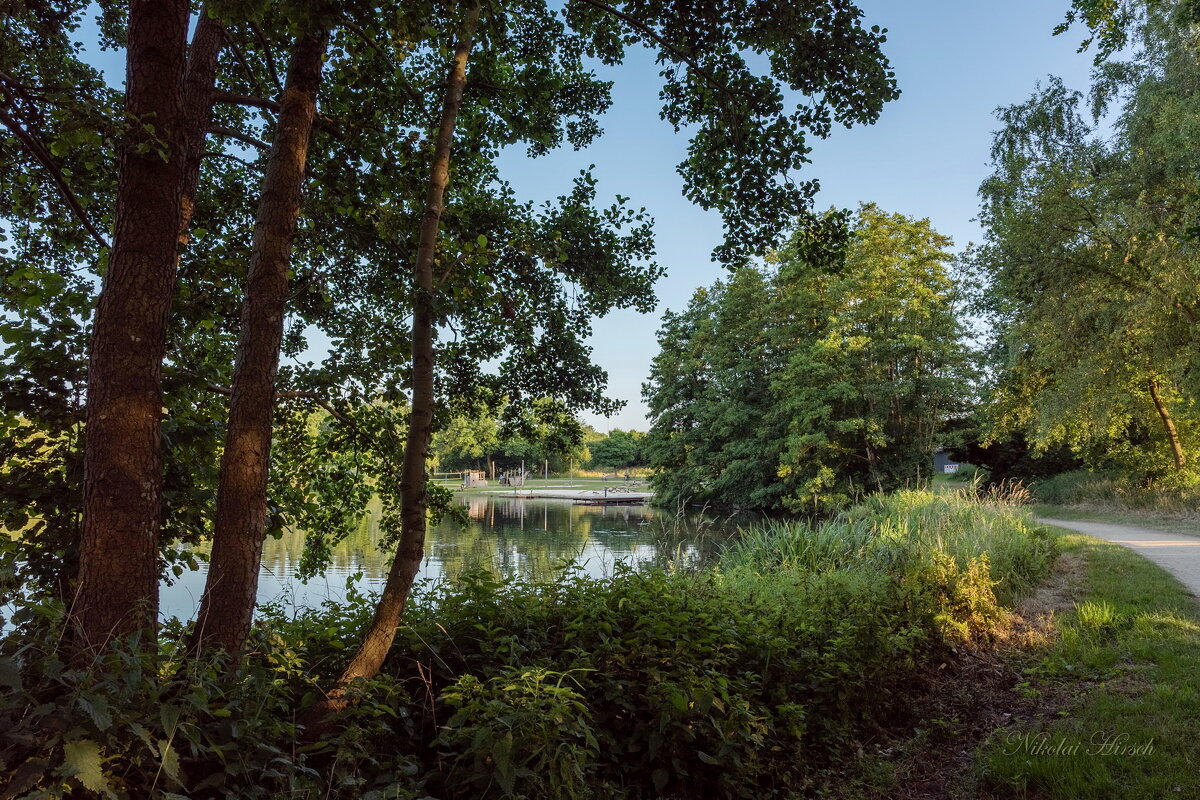 *** - Николай Гирш