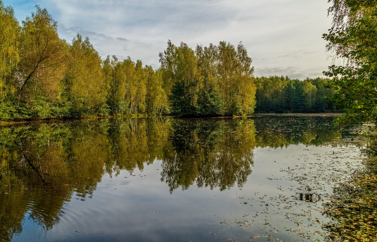 Цвет осени 6 - Андрей Дворников