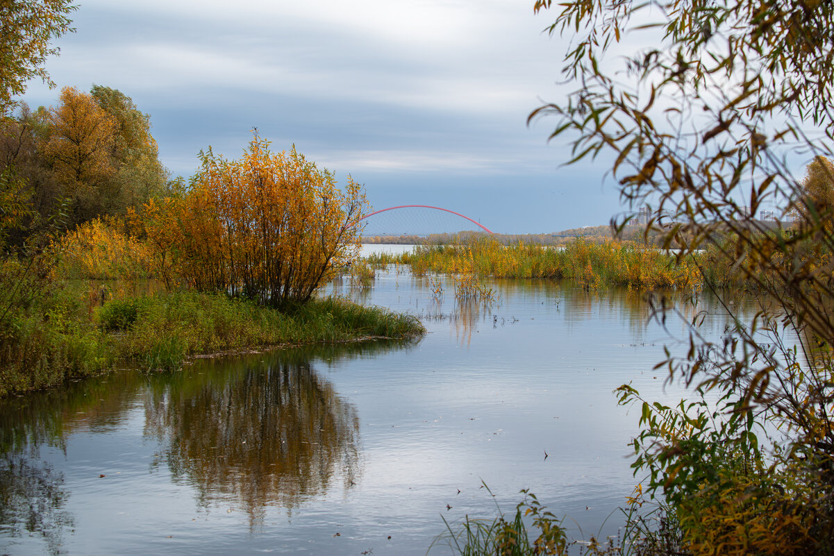 р.Обь,г.Новосибирск - Михаил Измайлов