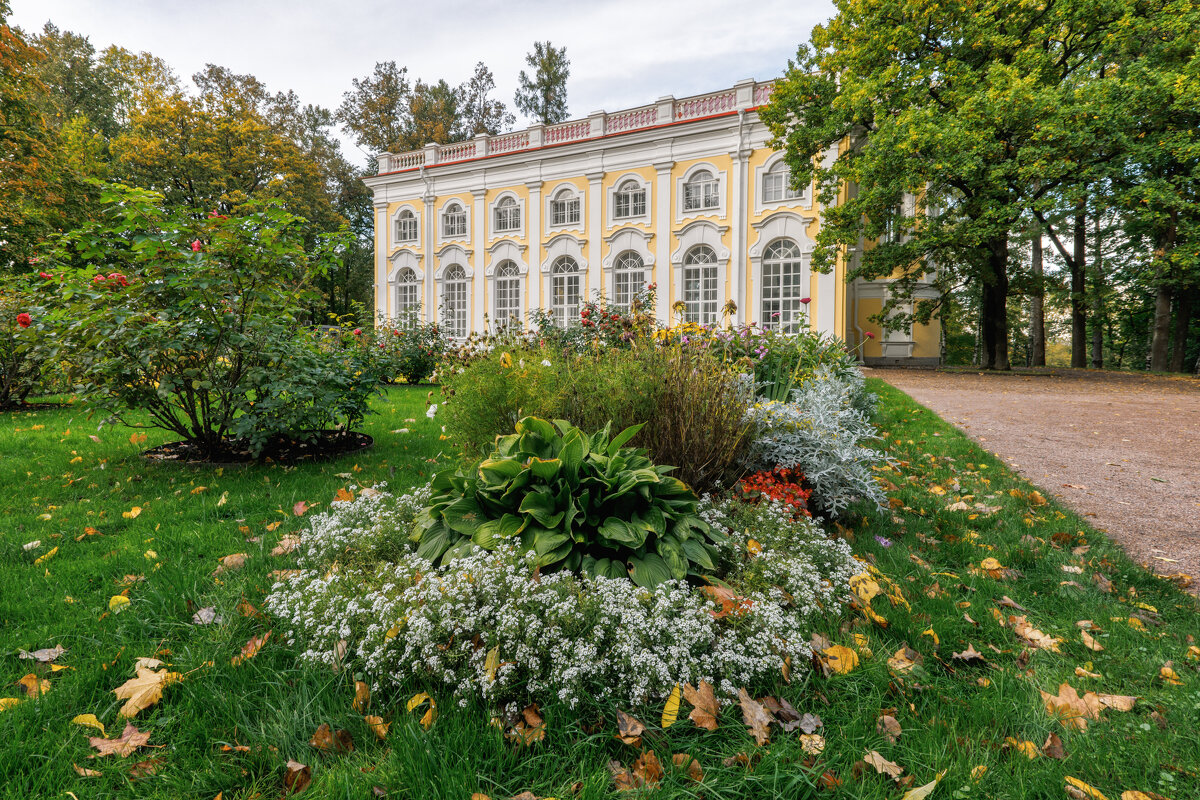 Про Питер - Владимир Колесников