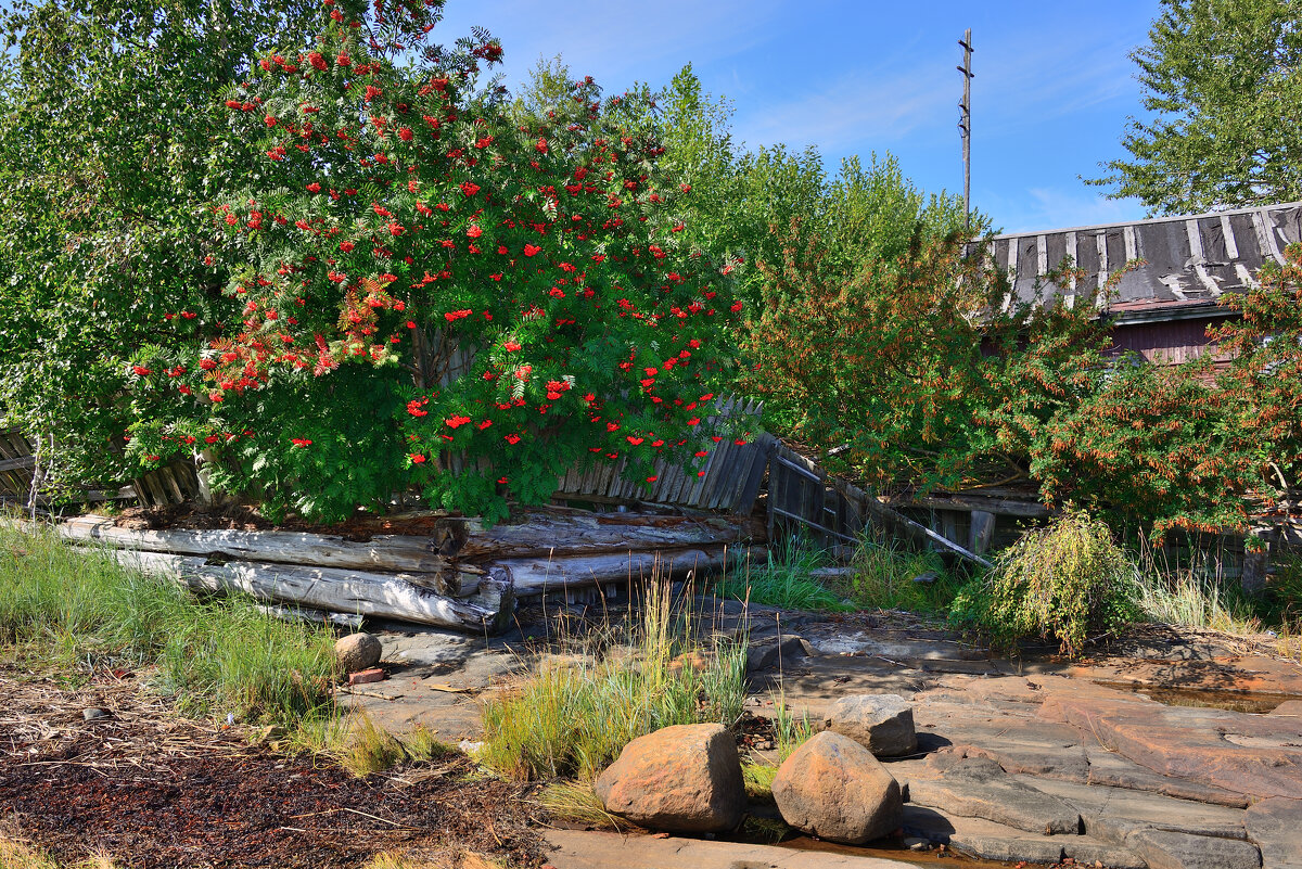 *** - Александр Хаецкий