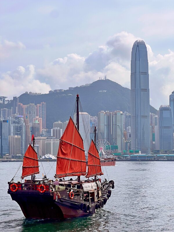 Традиционная китайская джонка - Николай Соколухин