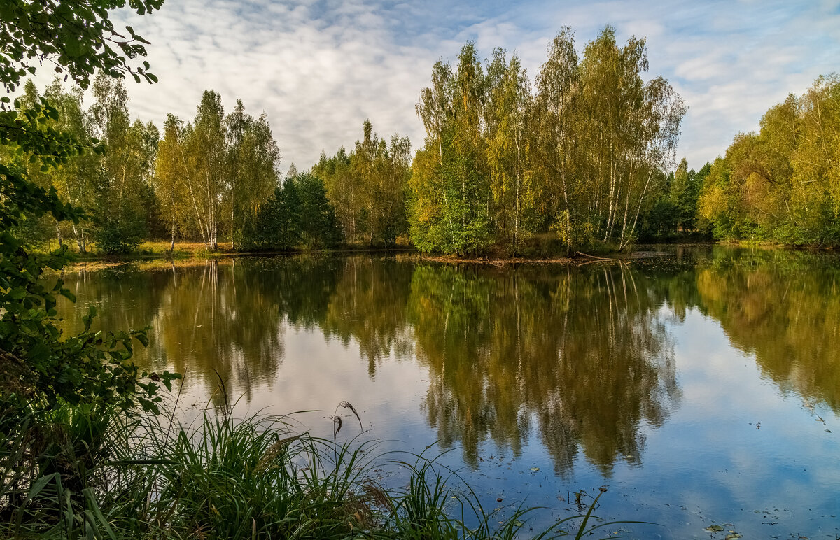 Цвет осени 7 - Андрей Дворников Цвет осени 7 - Андрей Дворников