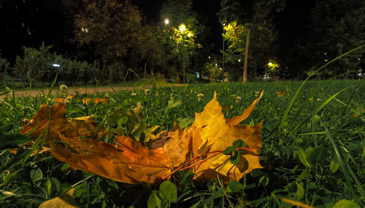 Осень в Городе - юрий поляков