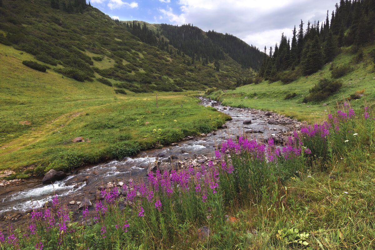 Дождик в летний день - в радость - LudMila 