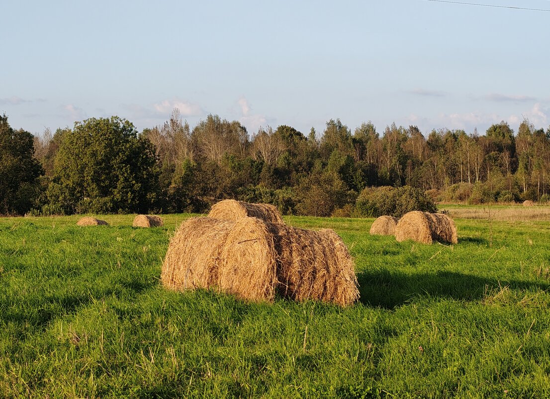 Стога у д.Скново - Артем 