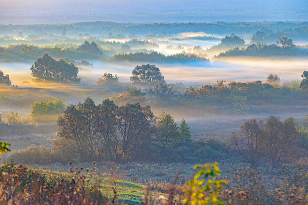 Утро - Юра Викулин