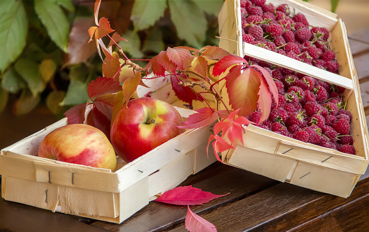 Сентябрь угощает... - Bosanat 