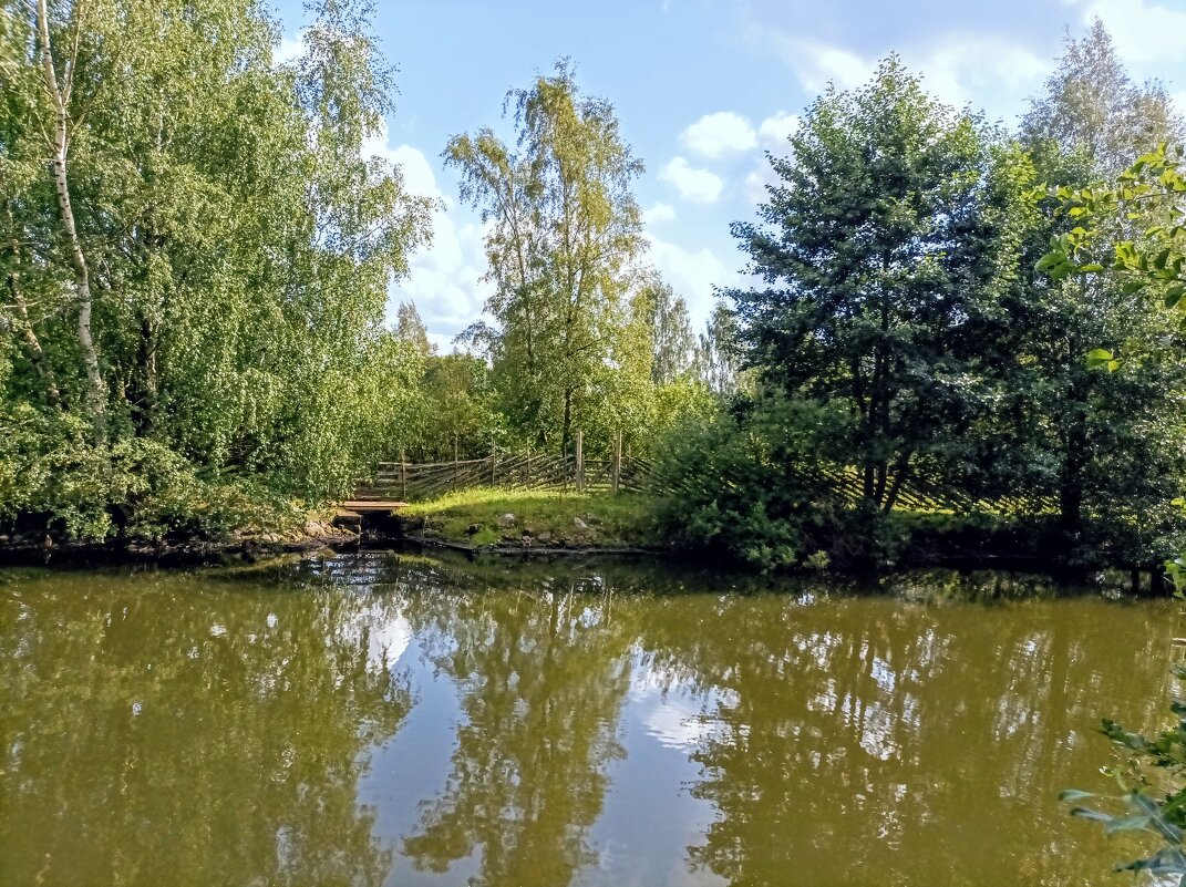 На пруду - Veera V