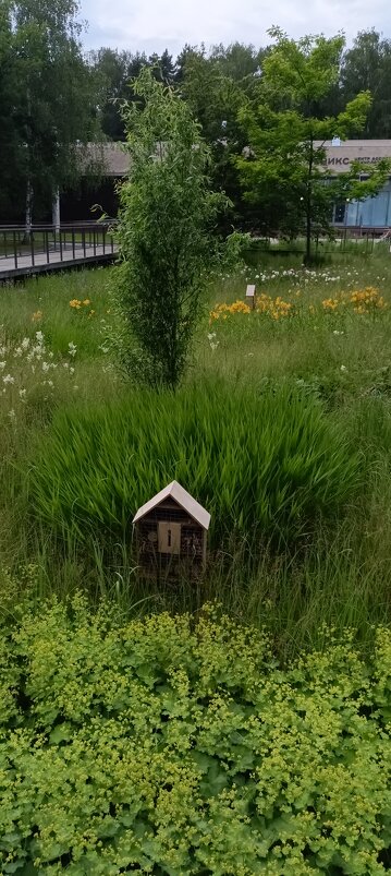 зоны для прогулок и отдыха - Галина R...