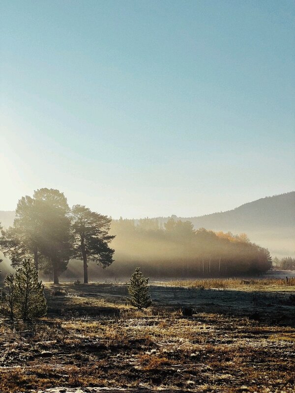 Осень - Георгиевич 