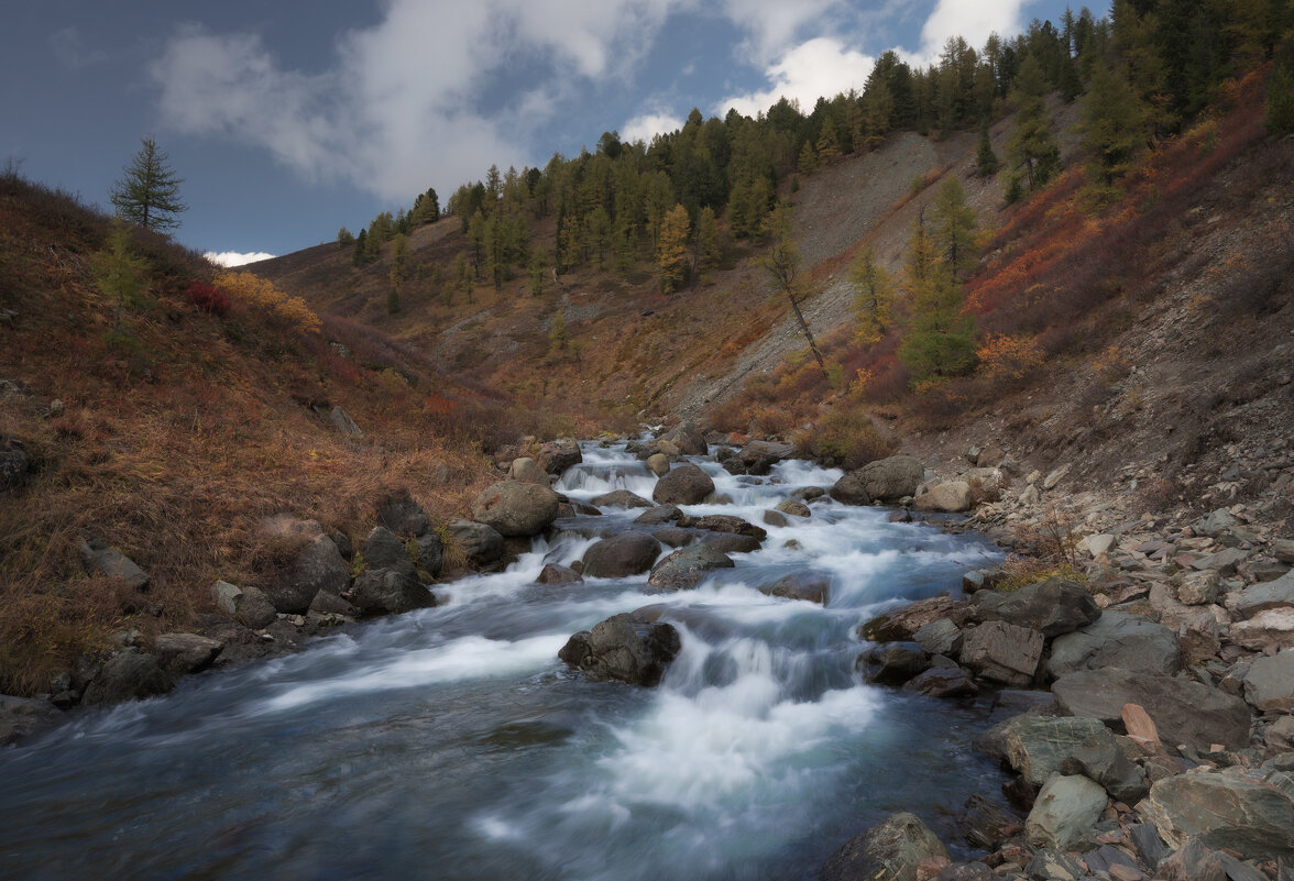 * - Александр Иванов