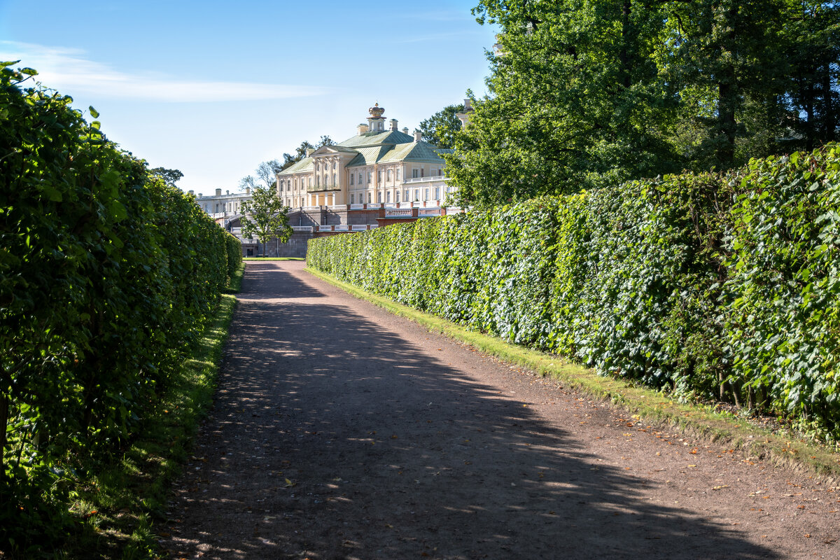 Аллея - Валерий Пославский
