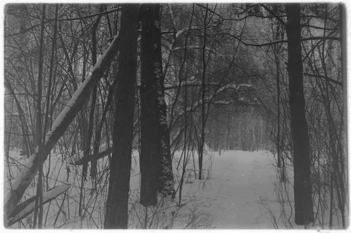 №35 - Alex Bes №35 - Alex Bes