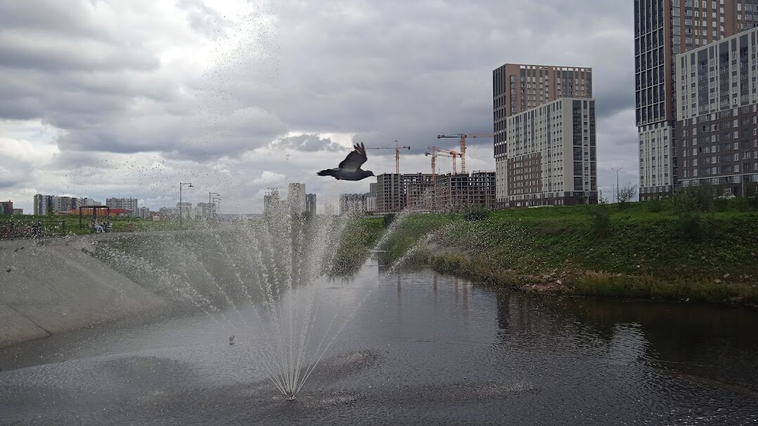 зарисовка - Елена Шаламова