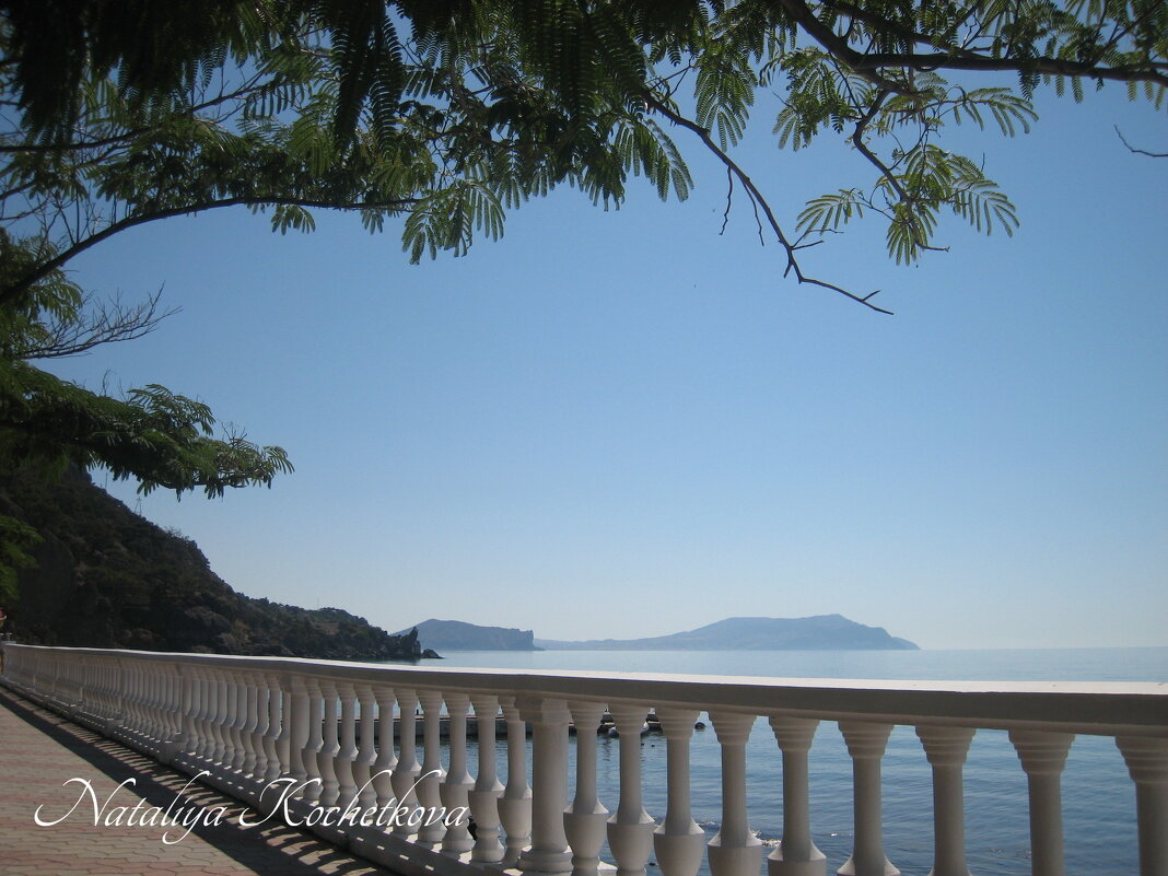 Природа Крыма - Amazing Cosmea