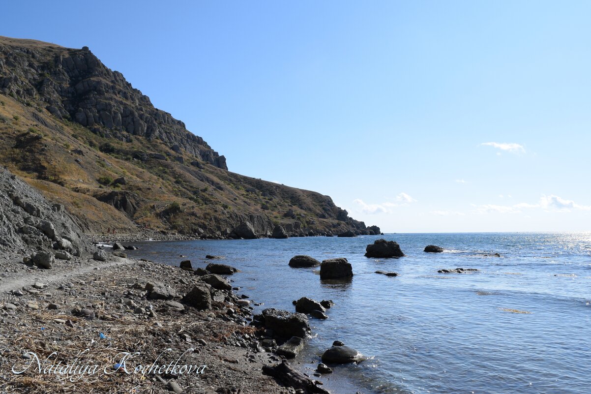 Природа Крыма - Amazing Cosmea Природа Крыма - Amazing Cosmea