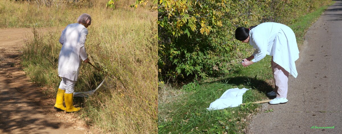 Про осеннюю охоту на клещей.. - Андрей Заломленков