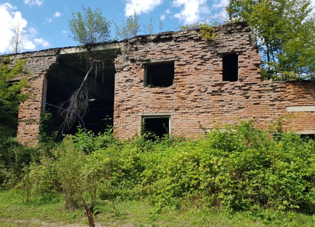 Посёлок Отдалённый - Tata Wolf