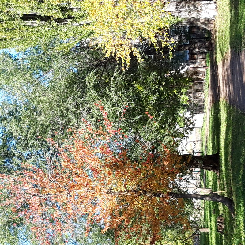 Мой город - Венера Чуйкова