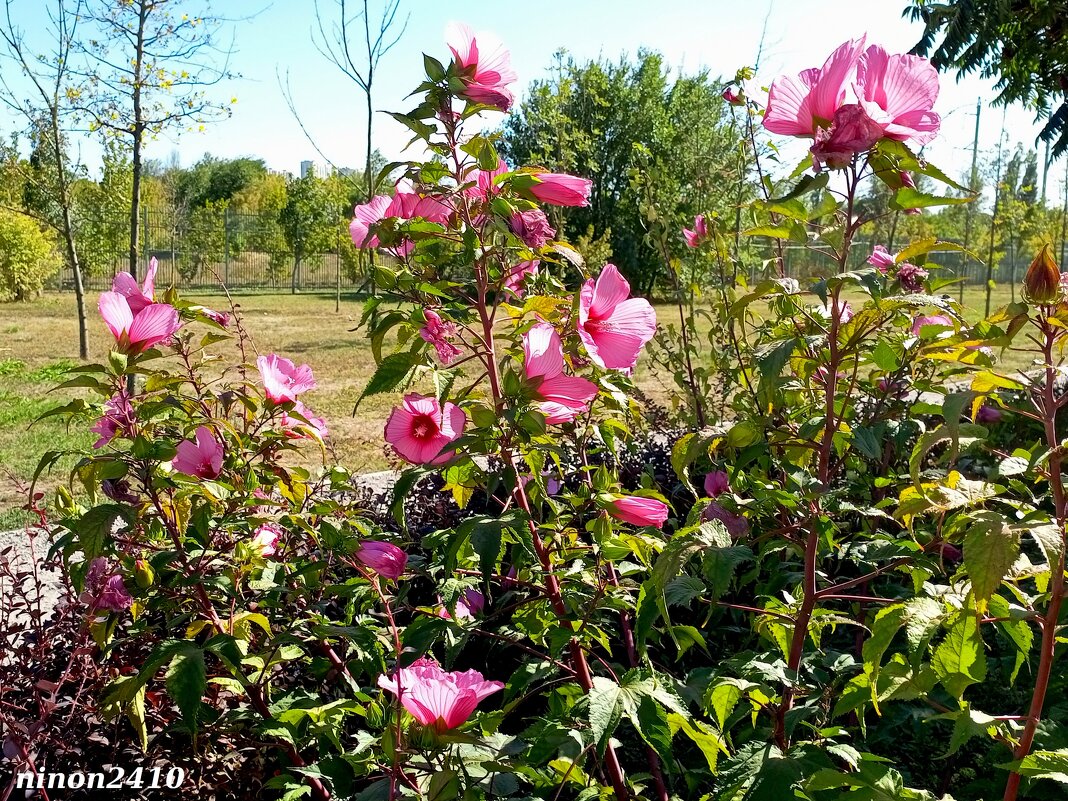 В ростовском экопарке Первая миля - Нина Бутко