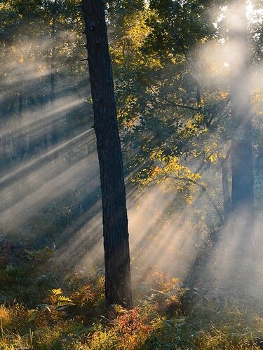 пейзаж - Владимир 