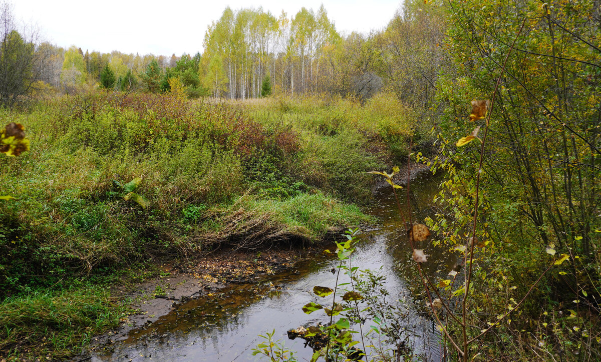 Осенний день - Сергей Ц