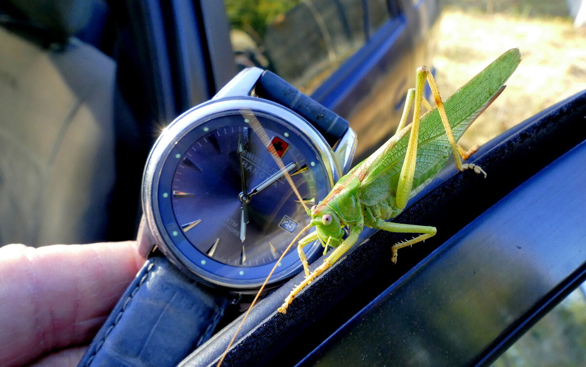Из сегодняшней съёмки 1 - Александр Прокудин