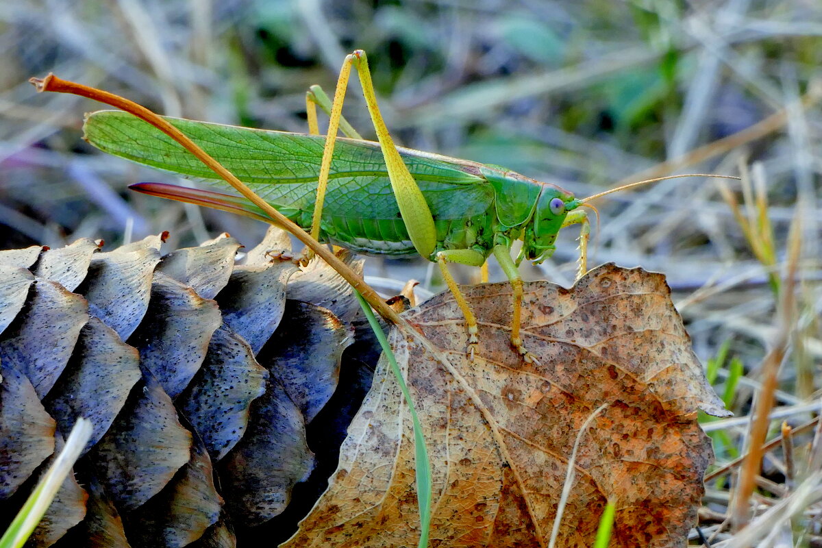 Из сегодняшней съёмки 4 - Александр Прокудин