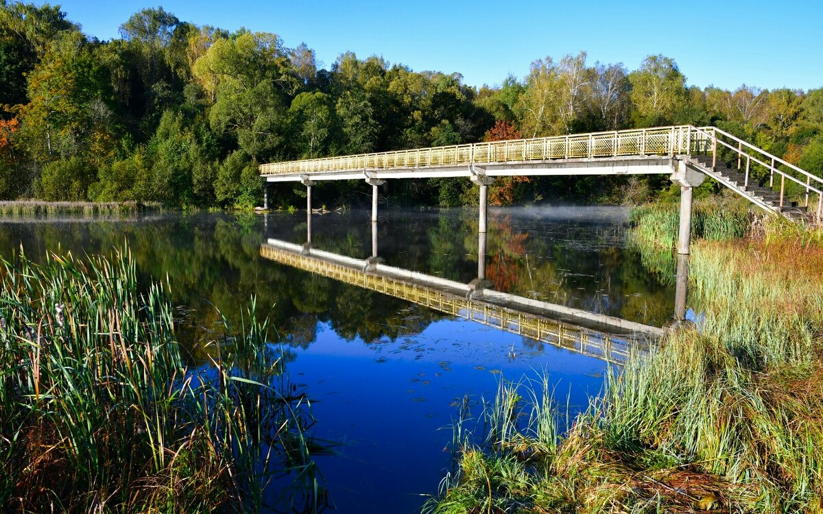 Отражение реальности. - Милешкин Владимир Алексеевич 