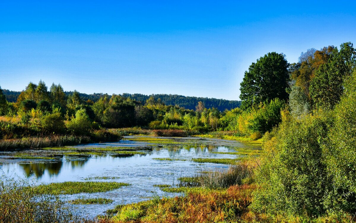 Смоленщина в конце сентября. - Милешкин Владимир Алексеевич Смоленщина в конце сентября. - Милешкин Владимир Алексеевич