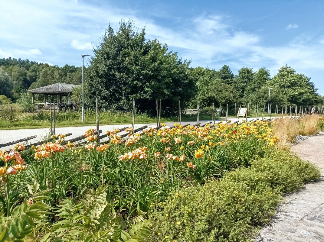 Прогулка по зоопарку - Veera V