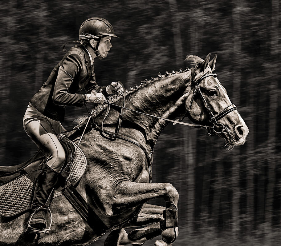 Конкур_ - SanSan 