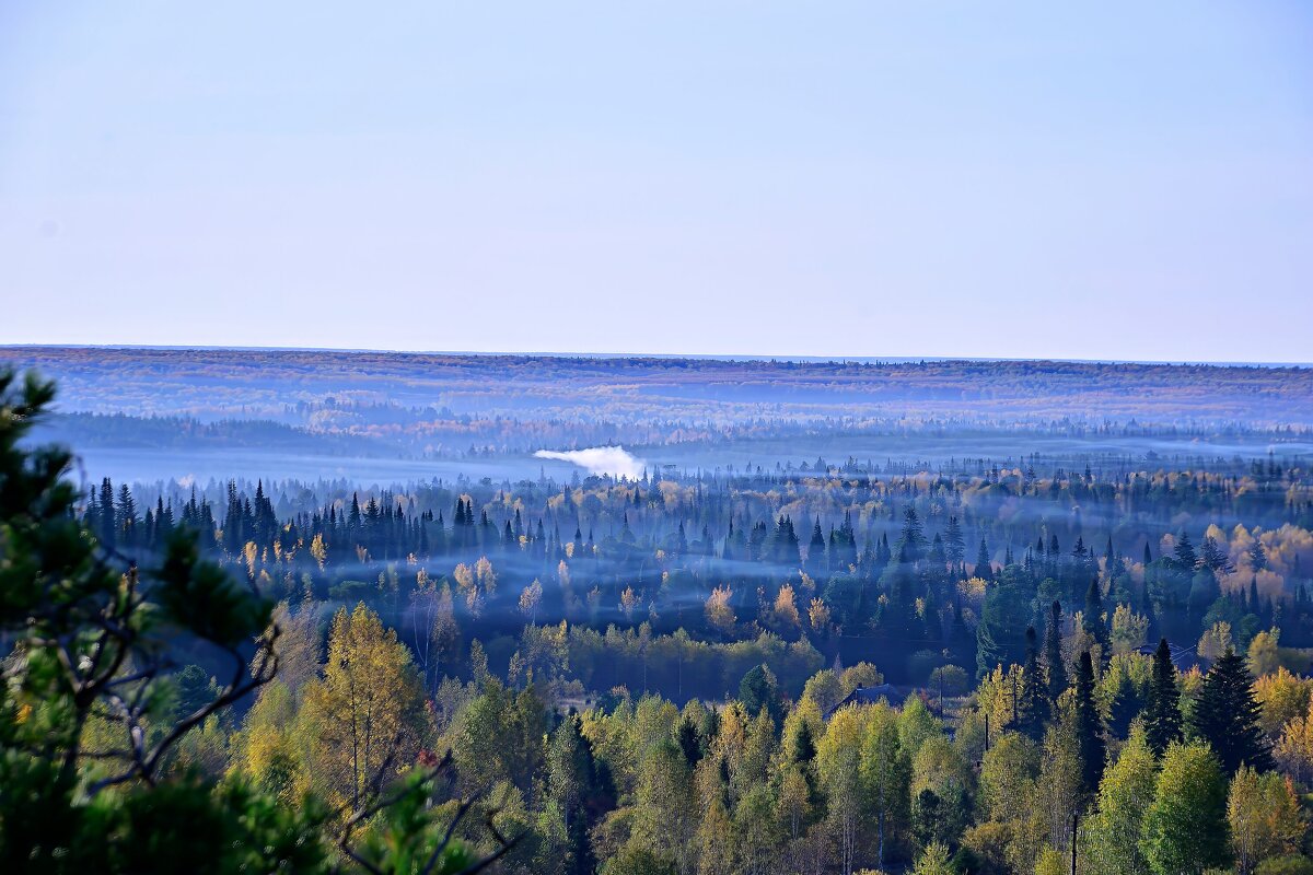 - - Владимир Мигонькин