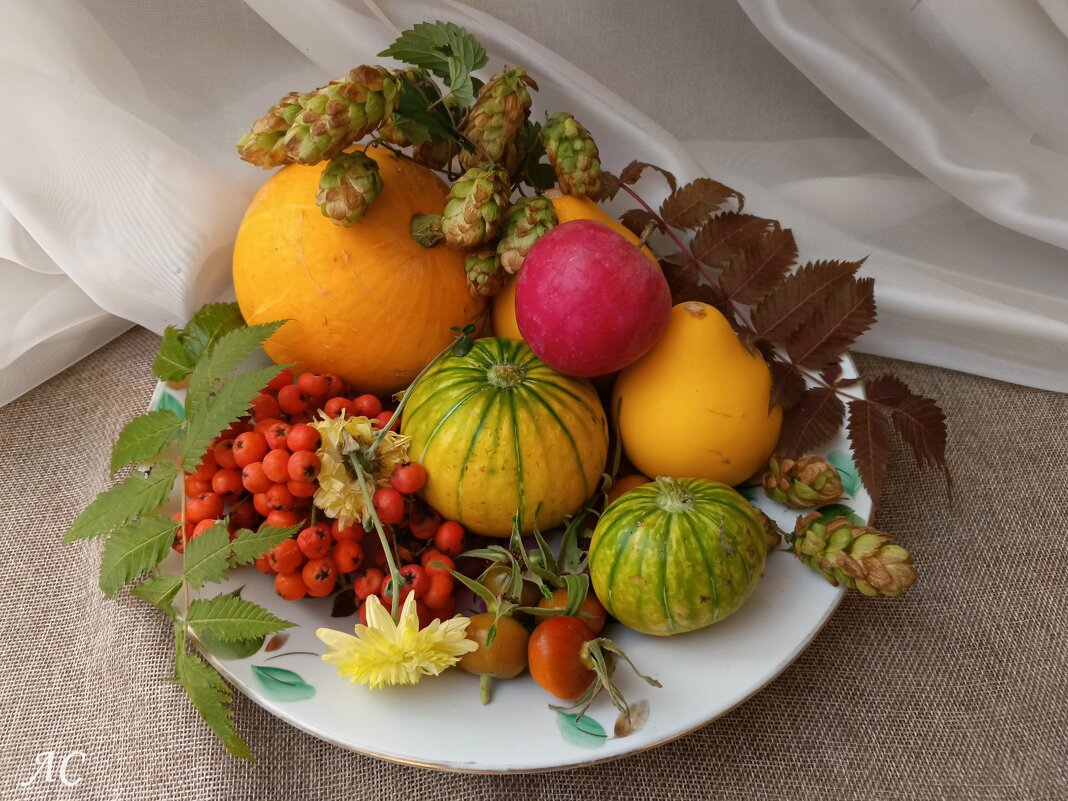 Дары осени - Любовь Сахарова