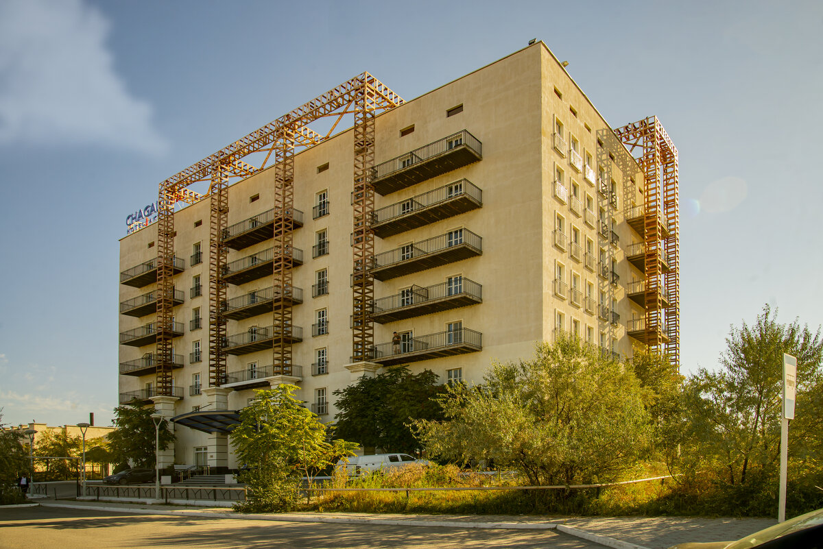 Чайка - Анатолий Чикчирный